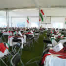 Plants: image 1 0f 4 thumb