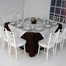 Plants: image 1 0f 4 thumb