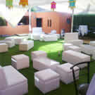 Plants: image 1 0f 4 thumb