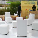 Plants: image 1 0f 4 thumb