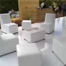 Plants: image 1 0f 4 thumb