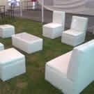 Plants: image 1 0f 4 thumb